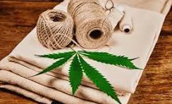 Hemp - Are we seeing a real shift back to its use in Interiors?